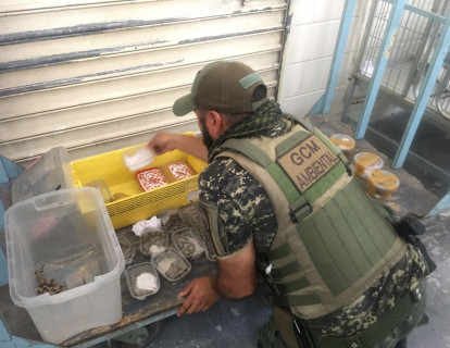 Animais foram localizadas em agência dos Correios de Santa Isabel