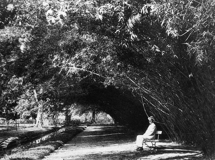 Aleia de Bambus, Jardim Botânico do Rio de Janeiro, 1922   